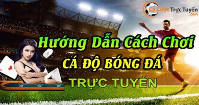 cá cược bóng đá trực tuyến uy tín