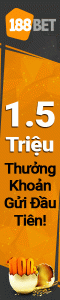 banner left right 120x600
