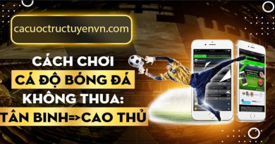 các cách chơi cá độ bóng đá không thua