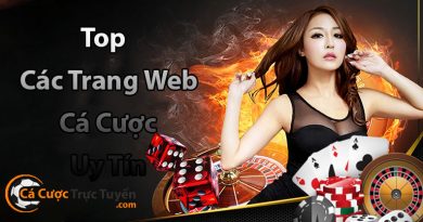 các trang web cá cược uy tín