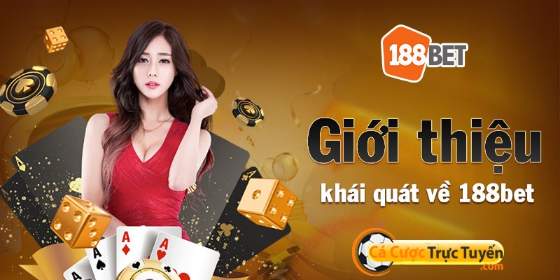 Sơ lược trang web cá độ bóng đá uy tín 188bet