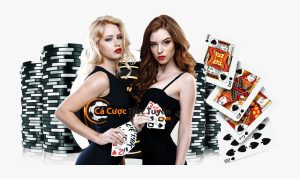 liên kết cá cược uy tín