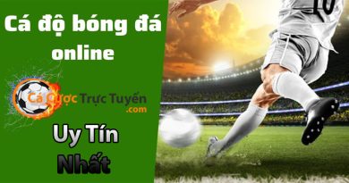 trang cá cược bóng đá online