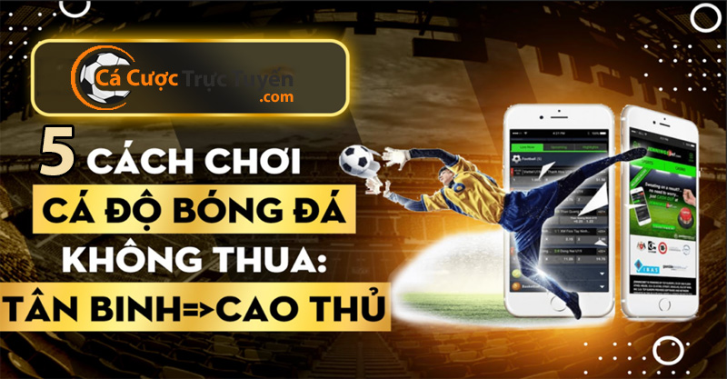 cach choi ca do bong da khong thua