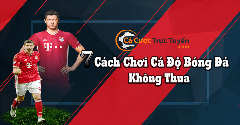 7 cách cá độ bóng đá không thua