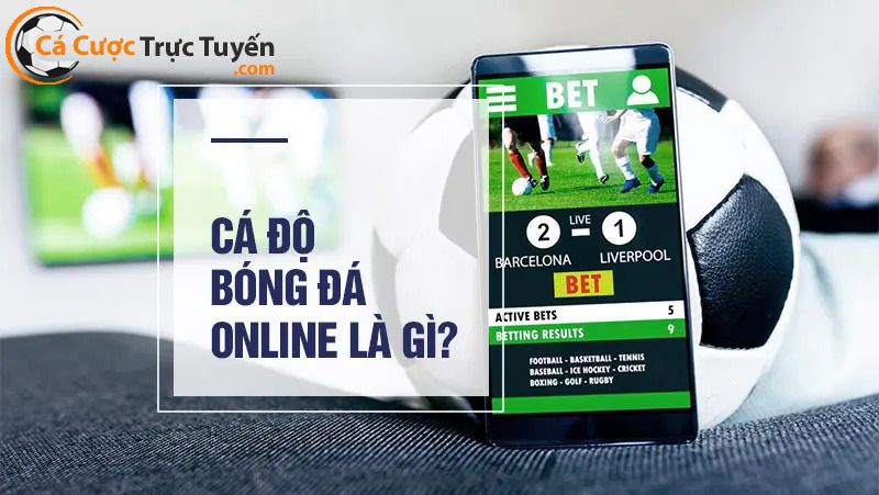 cá độ bóng đá online là gì