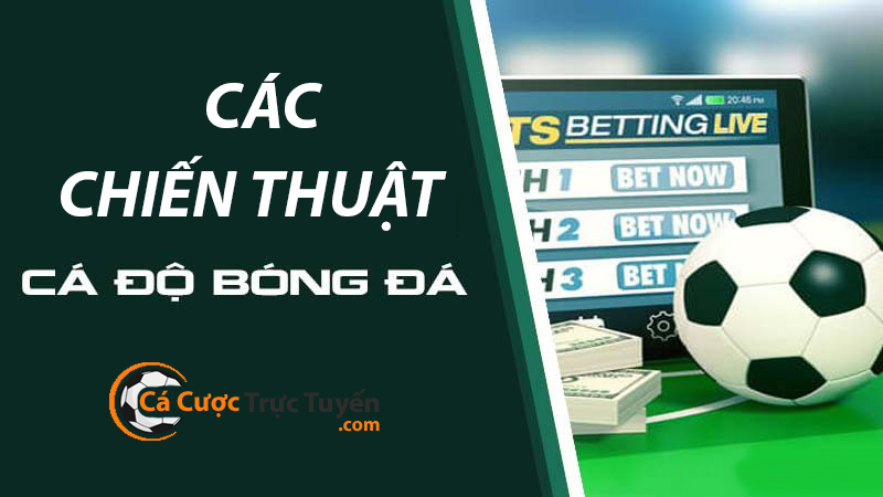 các chiến thuật cá cược bóng đá