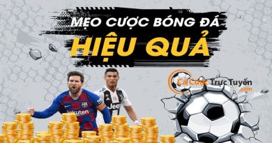 chiến thuật cá cược bóng đá hiệu quả