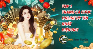 trang cá cược bóng đá online uy tín cacuoctructuyenvn