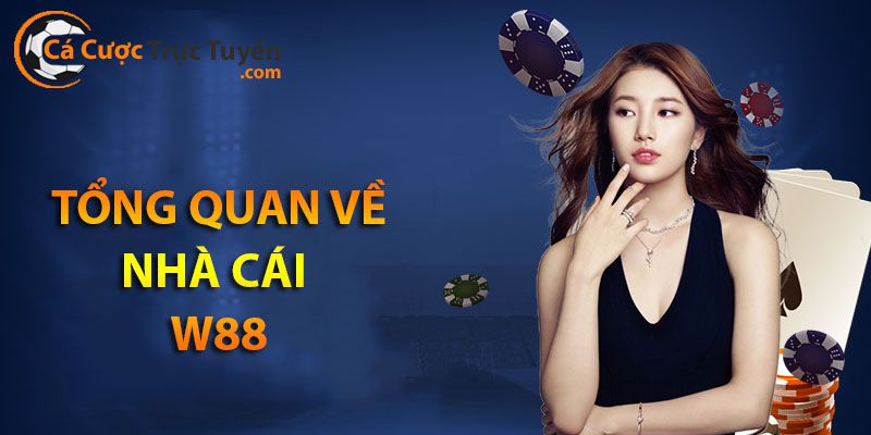 Trang cá cược bóng đá pdbc chất lượng an toàn - W88