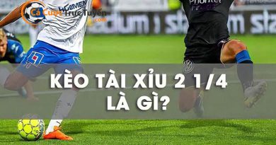 tỷ lệ kèo tài xỉu 2-1-4 là gì