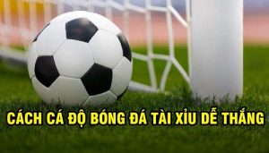 Cach danh keo tai xiu 2 3 4 hieu qua khi ap dung