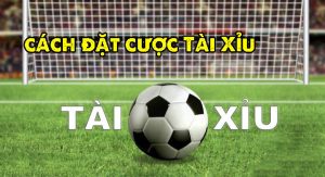 keo tai xiu 2 3 4