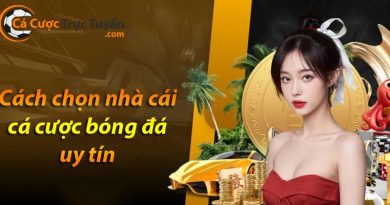 Cach chon nha cai ca cuoc bong da uy tin