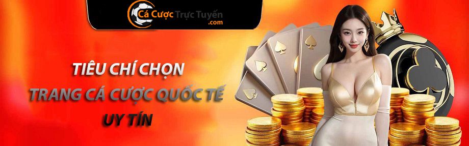 Các chọn đúng trang cá cược quốc tế uy tín chính xác nhất